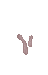 Echarpe (mauve)
